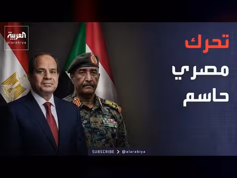 الجيش المصري يوقف أنشطة غير مشروعة على الحدود مع السودان
