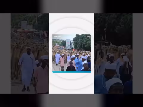 ذبح 1538 جملاً وتوزيع لحومها احتفالاً بالمولد النبوي
