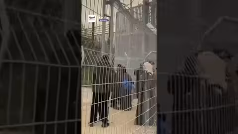 إعادة فتح معبر رفح واستئناف حركة السفر من وإلى غزة