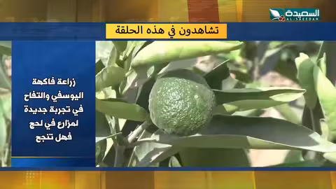 غزة واليمن: حصاد الأسبوع بين تحديات وصمود