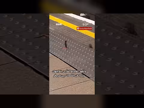معركة طريفة بين فأرين تثير ضحك ركاب مترو لندن