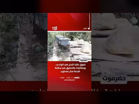 نفوق خلايا النحل في حضرموت
