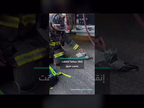 رجال الإطفاء ينقذون حمامة اختنقت بسبب حريق