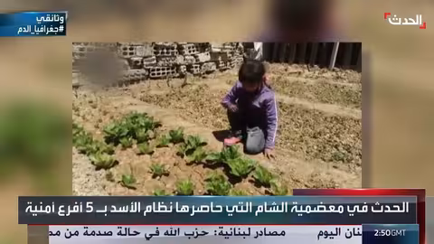 حصار خانق في اليمن: معاناة وموت بسبب نقص الغذاء