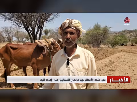 شحة الأمطار في تعز تجبر المزارعين على إعادة البذر