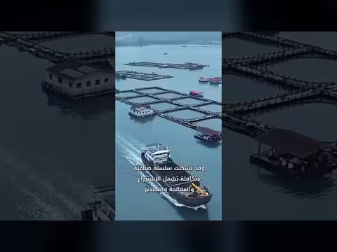 استزراع الدنيس الصيني المستدام يفتح أسواقًا جديدة