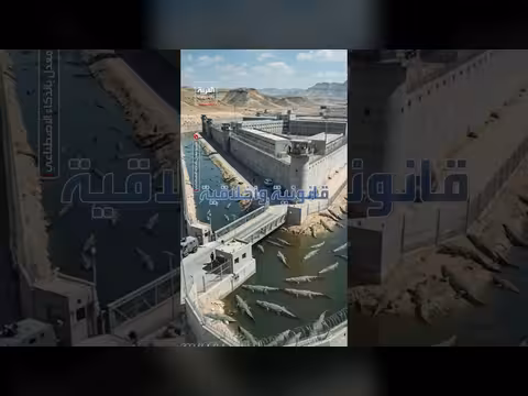إسرائيل تبدأ تنفيذ سجن محاط بالتماسيح في صحراء النقب