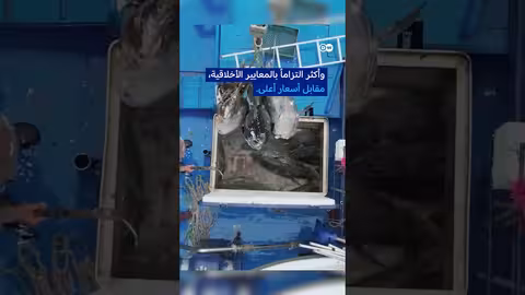 الصيد الجائر: جريمة تهدد التنوع البيولوجي