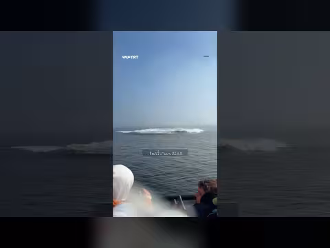 قفزة حوت مذهلة أمام مراقبين قبالة سواحل كيبيك