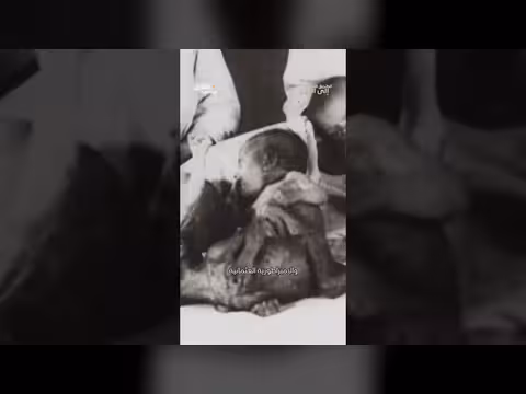 الطريق الطويل إلى الحرب وثائقي تاريخي