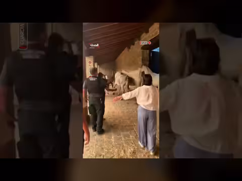 حرائق هائلة تجتاح غرب مدريد