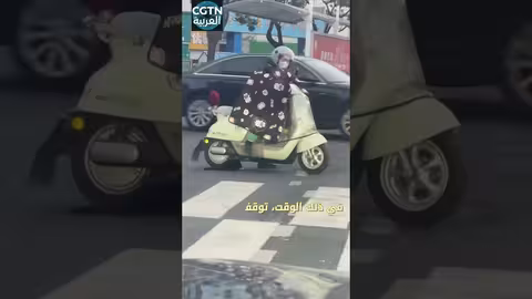 سيدة تنقذ قطة صغيرة وسط زحام السيارات