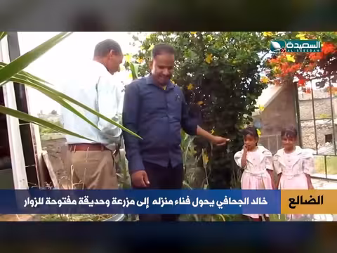 تحويل فناء منزلي إلى واحة في الضالع
