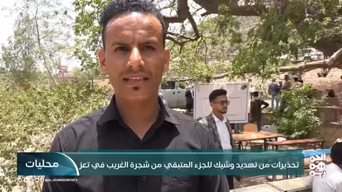 تحذيرات من تهديد وشيك للجزء المتبقي من شجرة الغريب في تعز