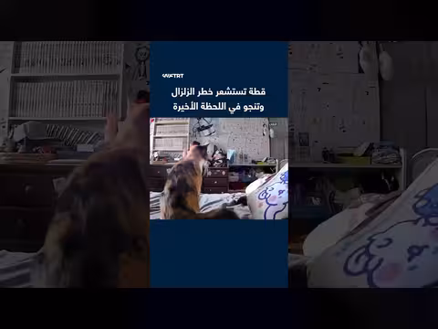 كاميرا ترصد هروب قطة قبل زلزال اليابان بثوانٍ