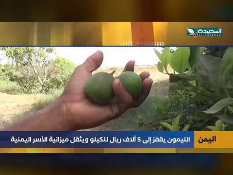 ارتفاع أسعار الليمون إلى 5 آلاف ريال للكيلو بسبب الغلاء في اليمن