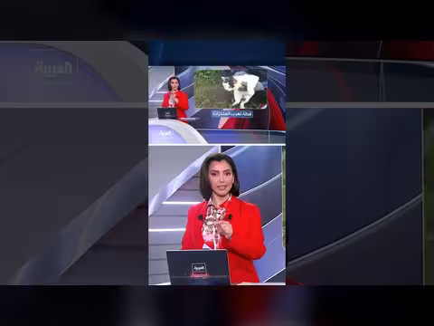 ضبط قطة تهريب مواد مخدرة في سجون روسية