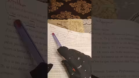 1bac le dernier jour d un condamné lecture (chapitre 31,32) les figures de style
