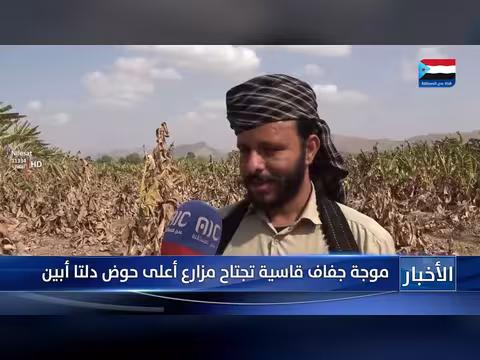 موجة جفاف قاسية تجتاح مزارع دلتا أبين