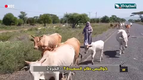شاهد مايا العبسي كيف استخدمت العصى التي يستخدمها الافارقة للمشي كواليس الإنتاج، طائر السعيدة7