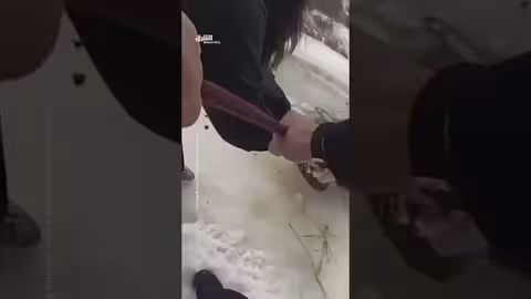 إنقاذ حصان سقط في بحيرة متجمدة