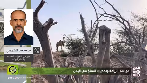 تدهور الأراضي الزراعية في اليمن وفجوة التمويل تحددان القطاع