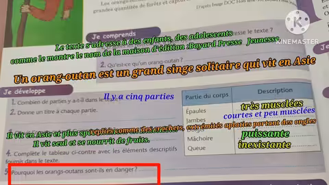 1ère année collège l heure de français page: 94 l orang - outan activité lecture