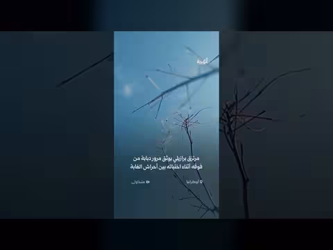 مشهد مذهل لدبابة عسكرية تعبر فوق خندق في أوكرانيا