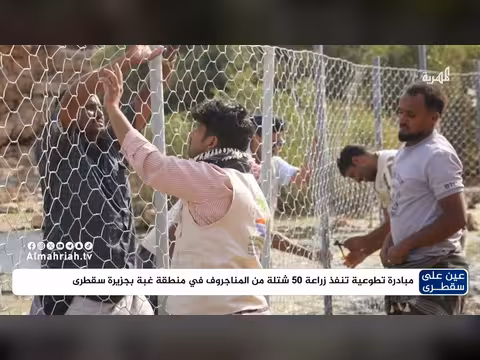 مبادرة تطوعية تزرع 50 شتلة من المناجروف في سقطرى