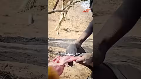 وجبة طعام تؤدي إلى الإعدام