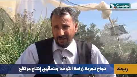 الثومة تصنع معجزة زراعية في ريمة
