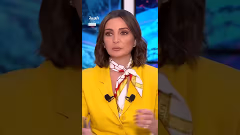 عضو مجلس الشيوخ المصري: وقف إطلاق النار بغزة مرتبط بنزع سلاح حماس