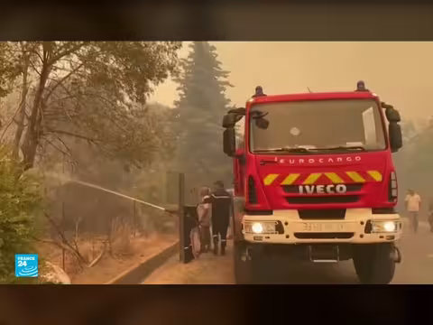 حرائق غابات في الجزائر تخلف 12 قتيلا و54 مصابا