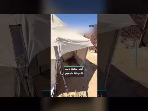 أفعى عملاقة ترعب نازحي غزة