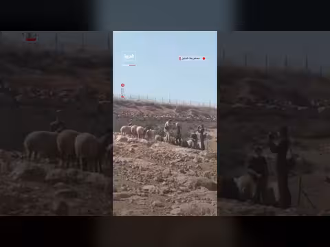 مستوطنون يقتحمون محيط خربة ام نيزل بمسافر يطا جنوب الخليل