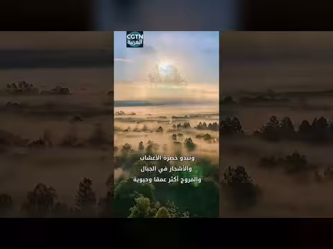 صباح غائم في منغوليا الداخلية