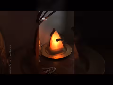 قط صغير بعمر ثلاثة أسابيع يحتضن مصباحًا للتدفئة في فيجي