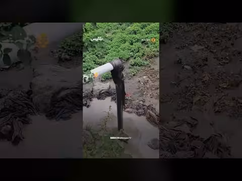 استمرار ري المحاصيل بمياه الصرف الصحي في إب