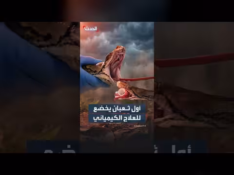 أول ثعبان يتعافى من السرطان بعد علاج كهربائي كيميائي مبتكر
