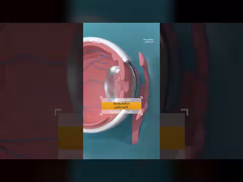 الدماغ يعيد بناء الصورة ولا يستقبلها كما هي