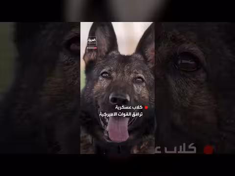 كلاب عسكرية ترافق القوات الأميركية في مهام الشرق الأوسط