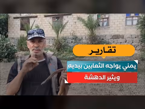 يمني يواجه الثعابين بيديه