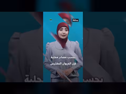 حيوان مفترس يهاجم أطفال ونساء في حضرموت