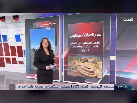 قوات العمالقة الجنوبية تسيطر على باب المندب وجزيرة ميون