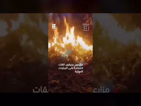 مزارعون يحرقون محصول القات احتجاجاً على الجبايات الحوثية