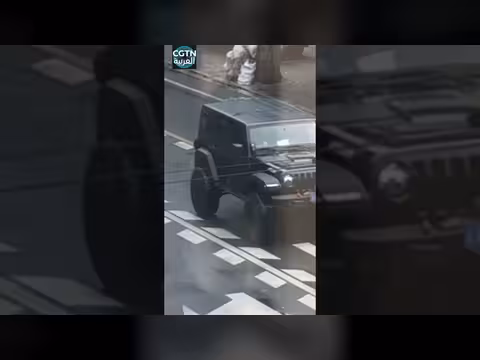سائقة صينية تفتح ممراً مرورياً بعد سقوط شجرة على الطريق
