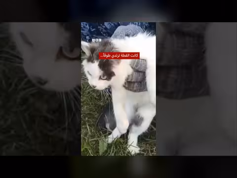 ضبط قطة لتهريب المخدرات من سجن روسي