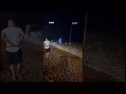 ظهور أعداد كبيرة من أسماك السردين على شاطئ بالجزائر