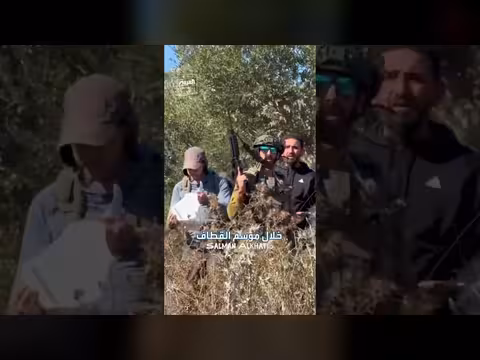 استهداف المستوطنين لزيتون فلسطين تهديد للرزق والارتباط بالأرض