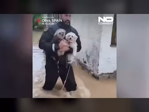 الحرس المدني الإسباني ينقذ أسرة وكلابها من فيضانات أوليفا
